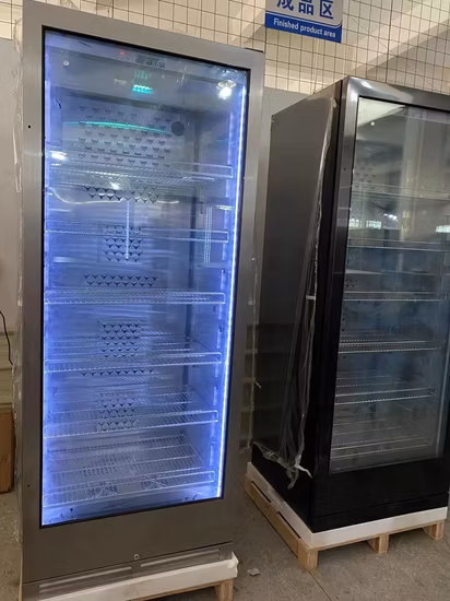 Refrigerador de gran capacidad de 320L con exhibición de queso, carne, envejecimiento, gabinete de curado, salami, filete, Ager, refrigerador seco, refrigerador de envejecimiento seco, carne Ager