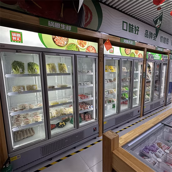 Congelador vertical de exhibición de puerta de vidrio, refrigerador comercial, congelador para supermercado